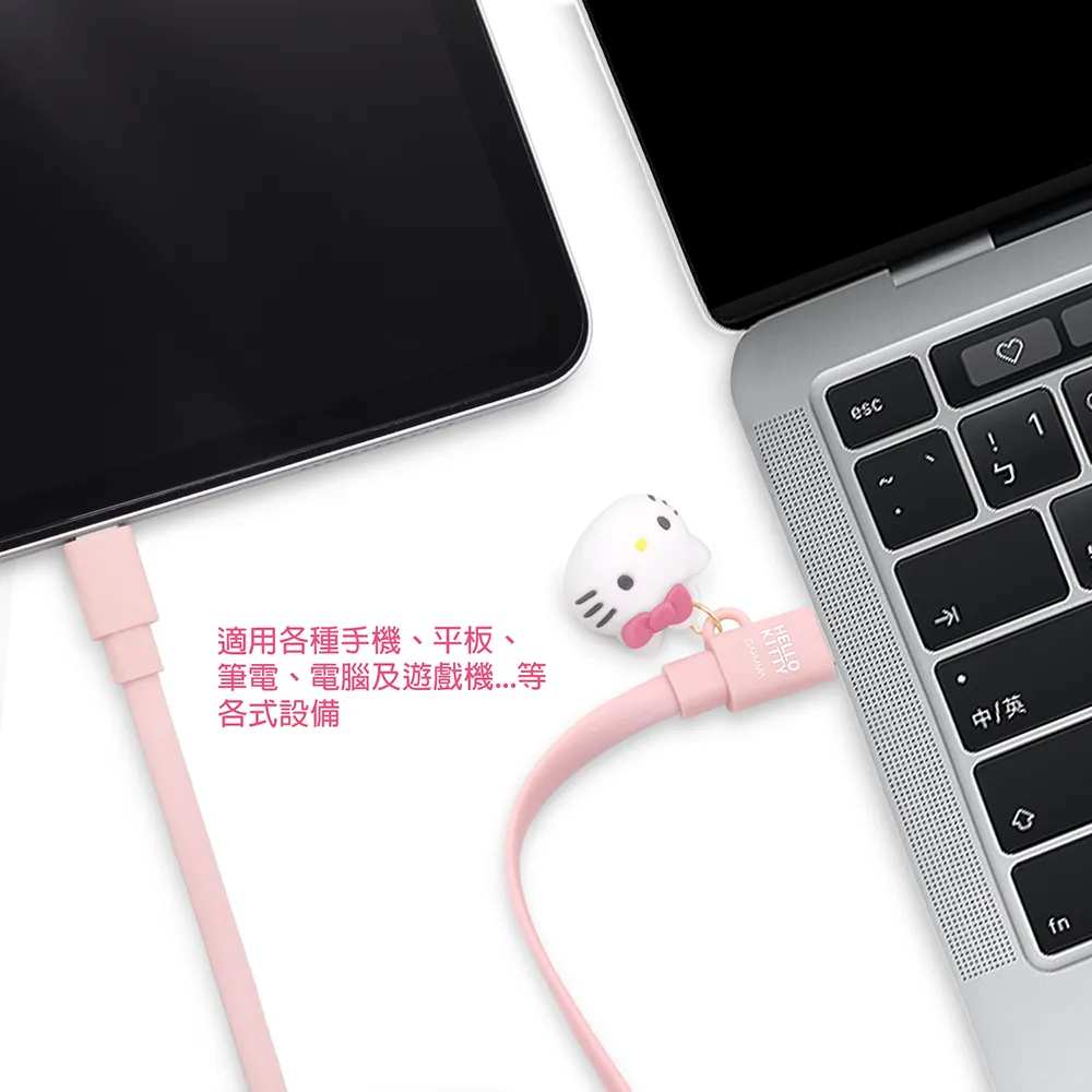 GARMMA電源_KT Type-C to Type-C PD快充公仔吊飾傳輸線-粉色(506)