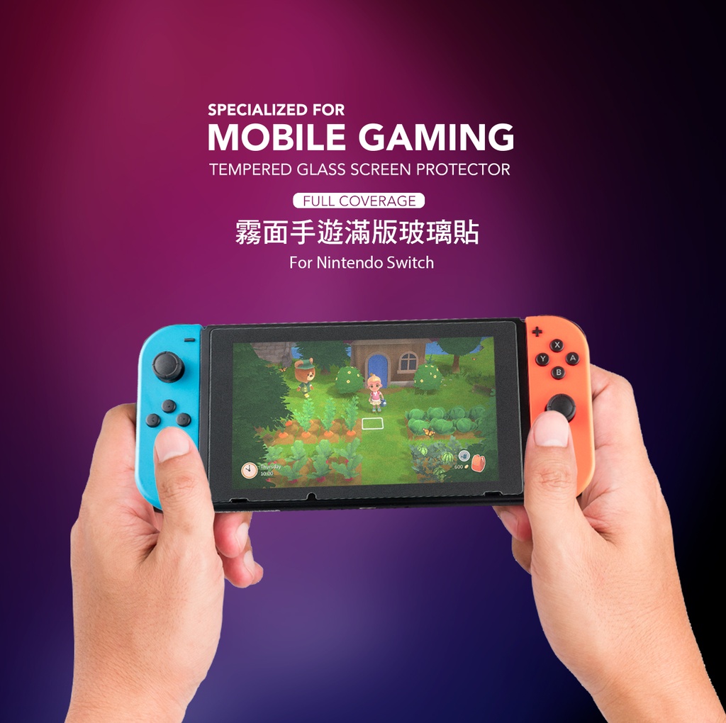 hoda膜_磨砂_Nintendo Switch (893)