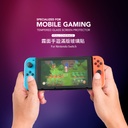 hoda膜_磨砂_Nintendo Switch (893)