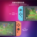 hoda膜_磨砂_Nintendo Switch (893)