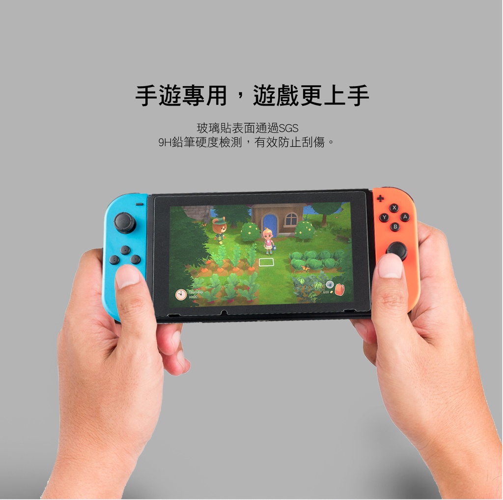 hoda膜_磨砂_Nintendo Switch (893)